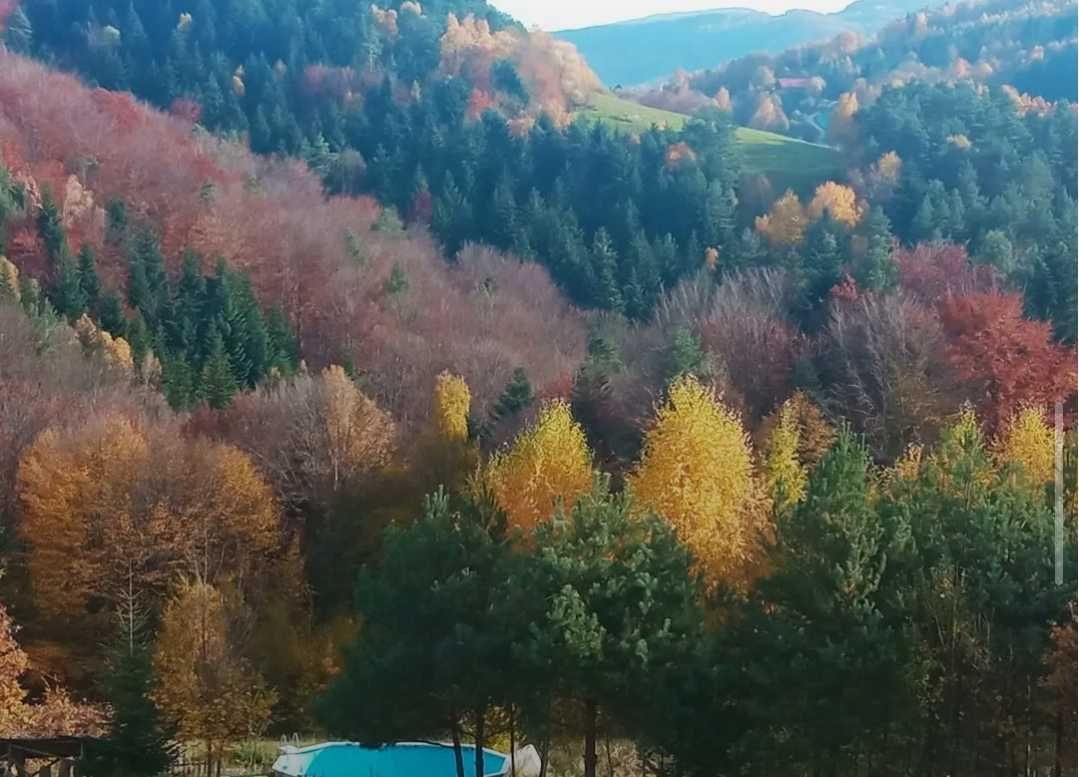 gospodarstwo, 4 pokoje Limanowa. Zdjęcie 6