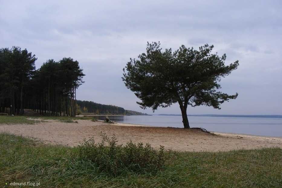 Działka budowlana Karolinów, ul. Główna. Zdjęcie 2