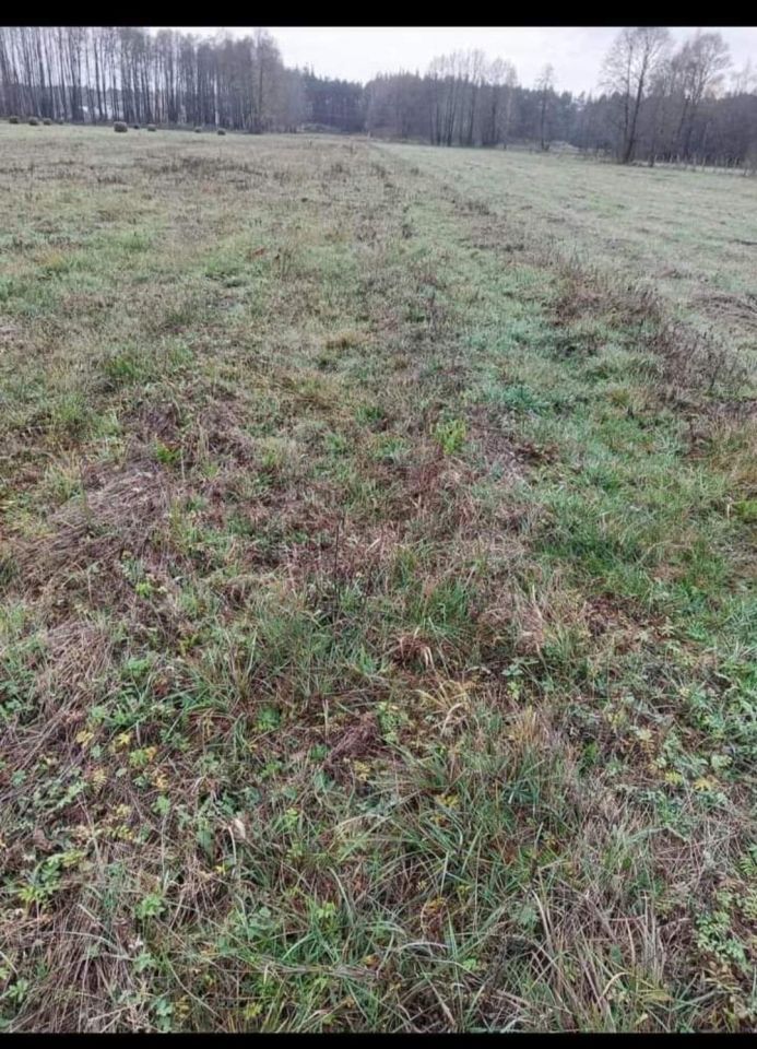 Działka rolno-budowlana Brzuza. Zdjęcie 8