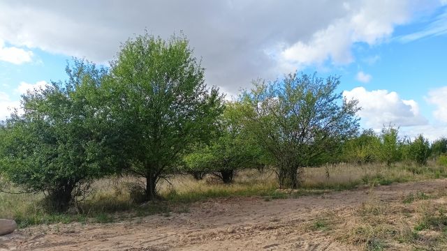 Działka budowlana Kobylniki, ul. Topolowa. Zdjęcie 1