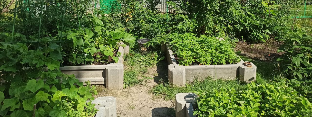 Działka rod Kraków Grzegórzki, ul. Rakowicka. Zdjęcie 3