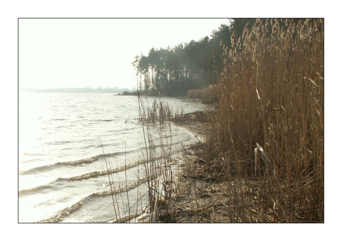 Działka budowlana Brudnów. Zdjęcie 6