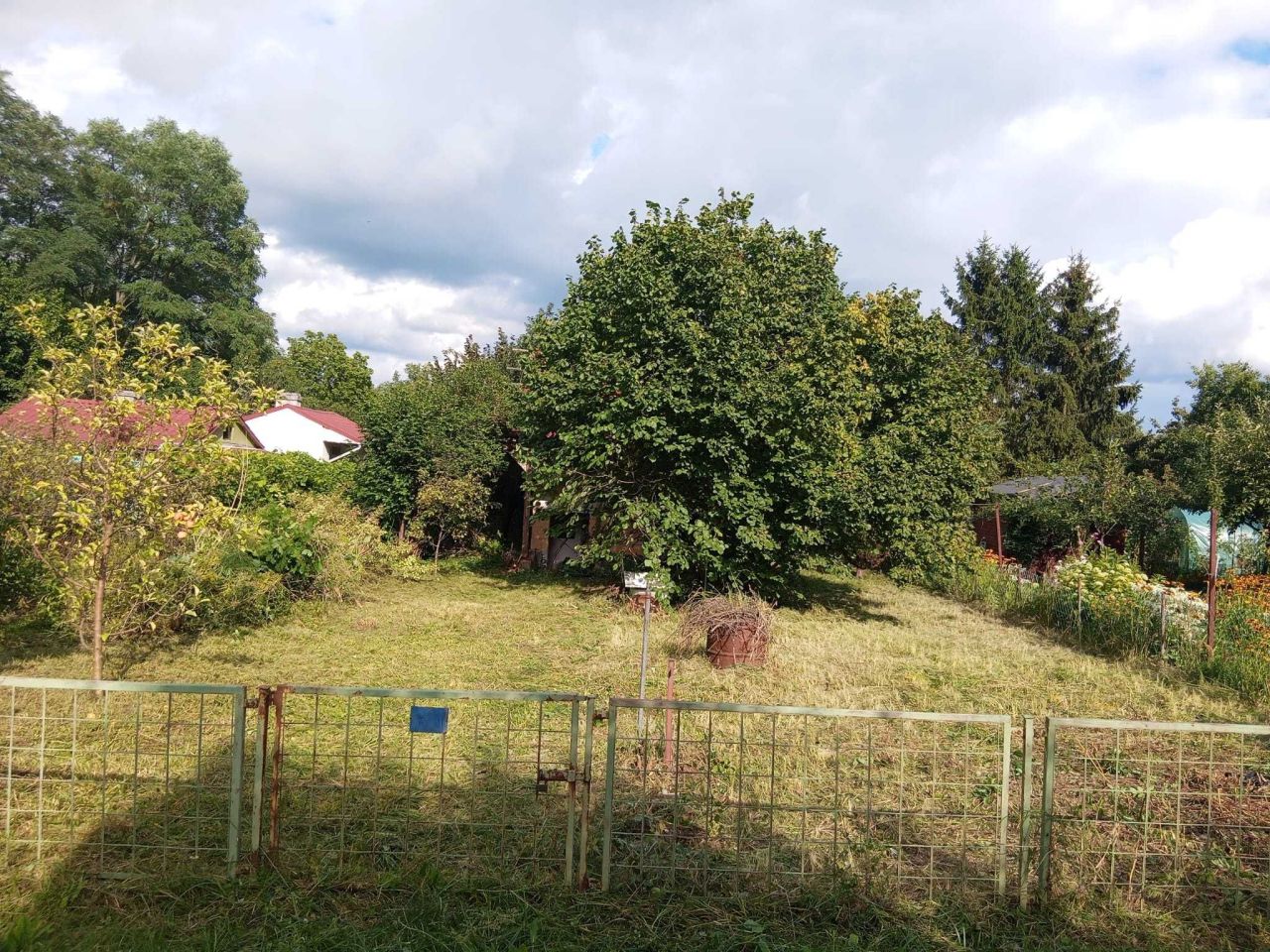 Działka rod Zielona Góra, ul. Łużycka. Zdjęcie 6