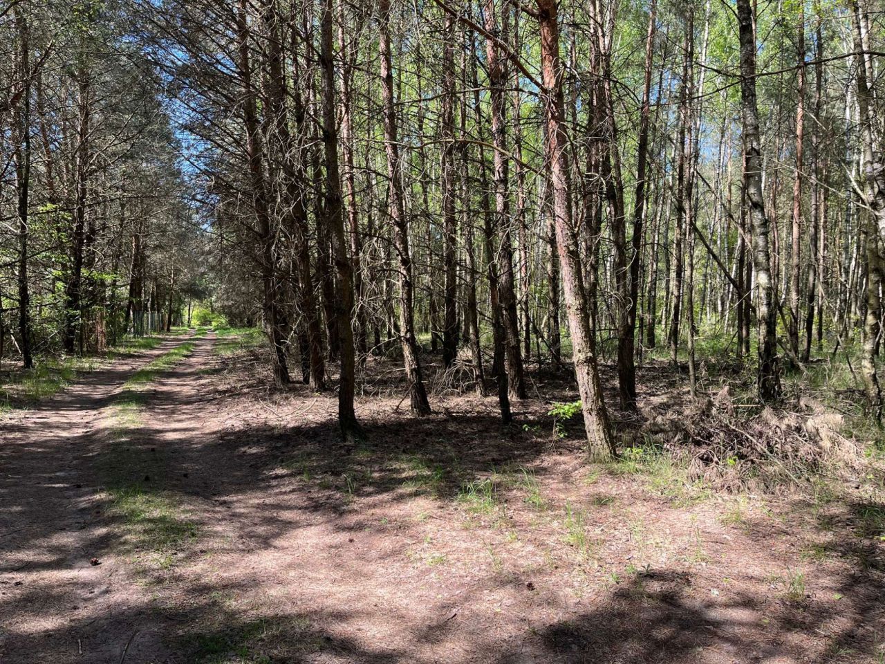 Działka budowlana Stęszewko, ul. Wiejska. Zdjęcie 17