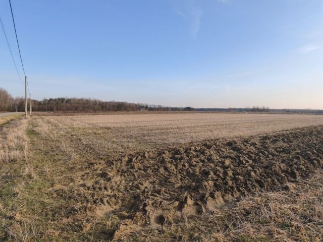 Działka rolno-budowlana Luszowice. Zdjęcie 1