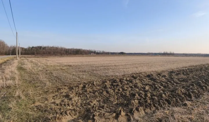 Działka rolno-budowlana Luszowice