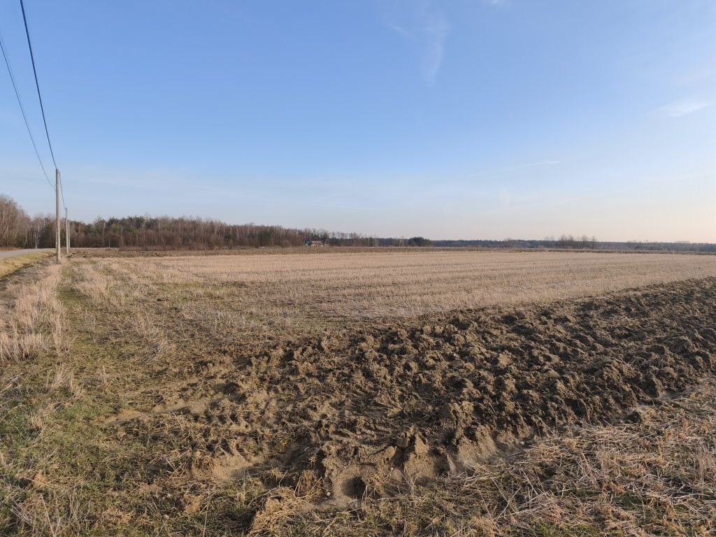 Działka rolno-budowlana Luszowice. Zdjęcie 1