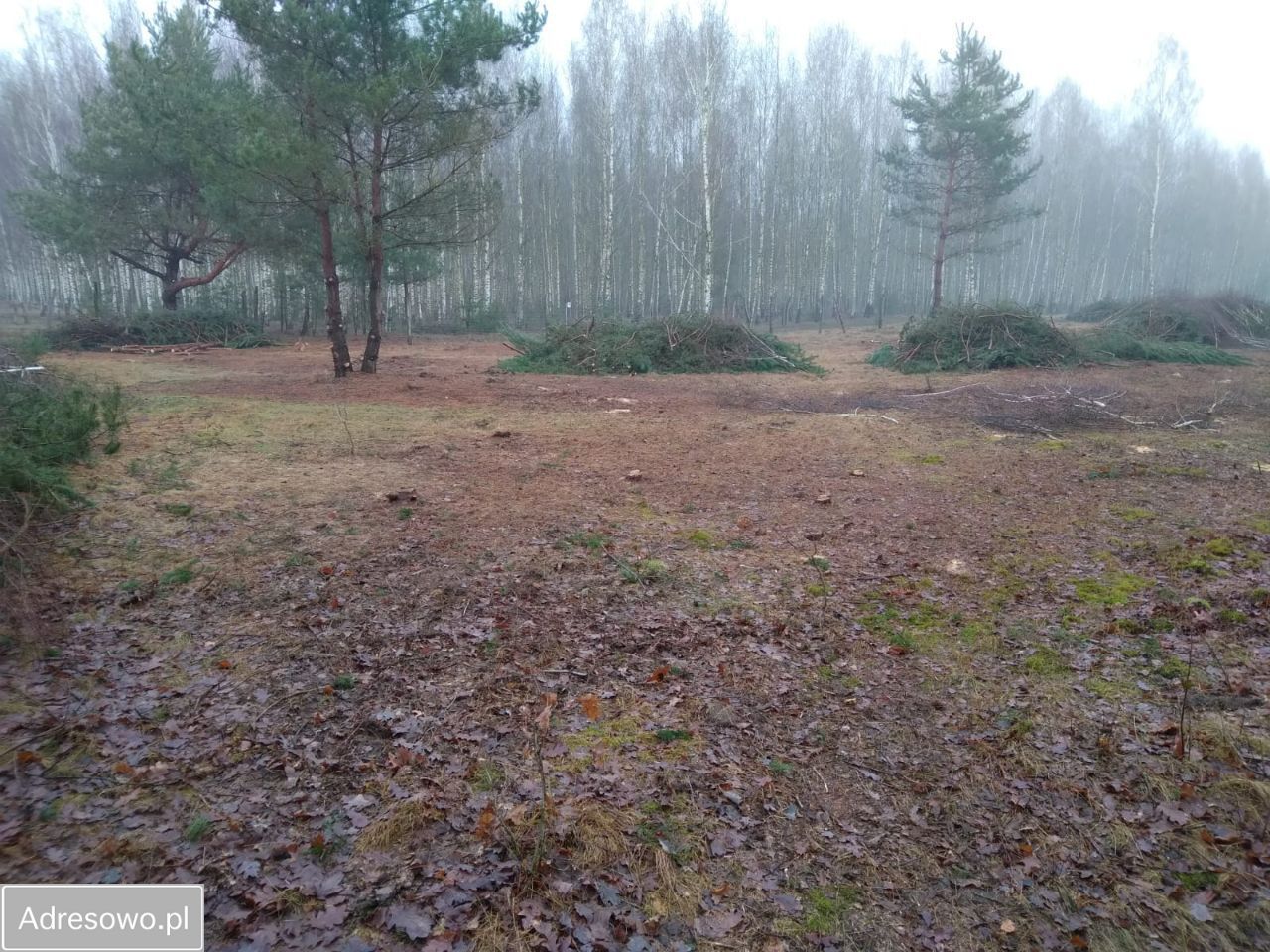 Działka budowlana Nowa Wieś. Zdjęcie 14