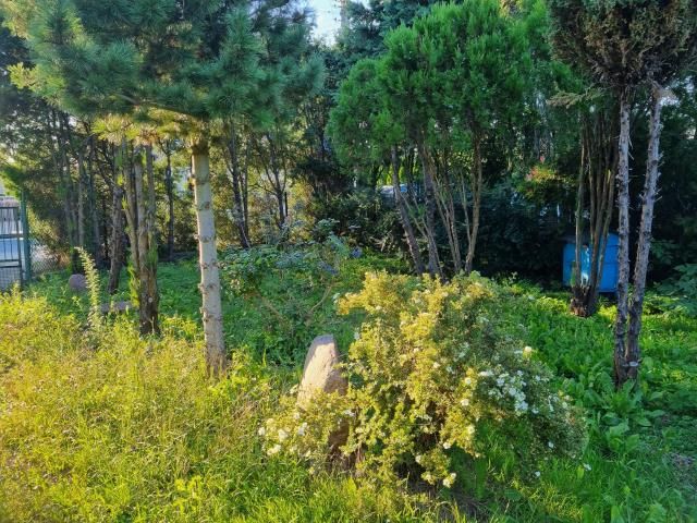 dom wolnostojący, 3 pokoje Piastów. Zdjęcie 10