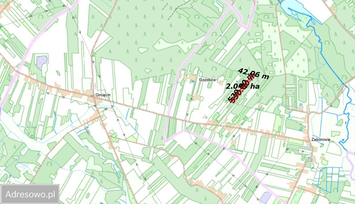 Działka leśna Zaborowie. Zdjęcie 2