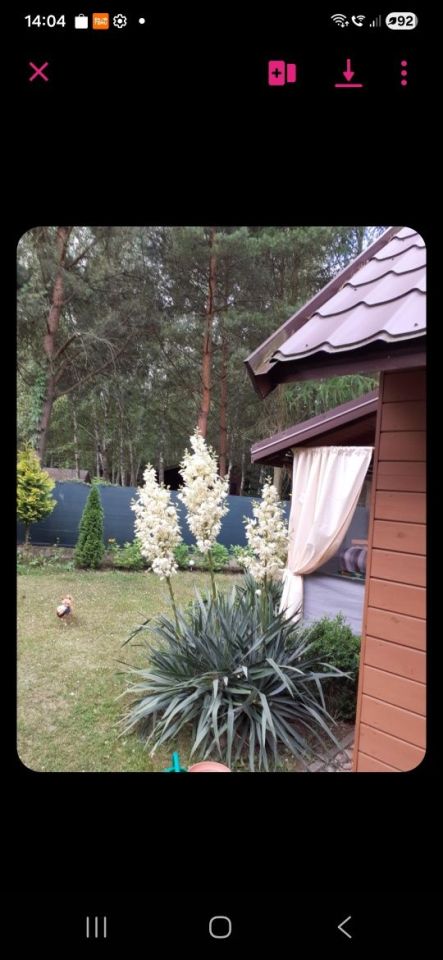 dom letniskowy Matyldów. Zdjęcie 3