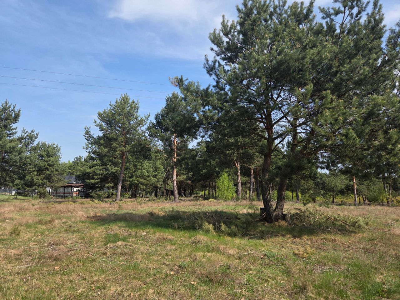 Działka rolno-budowlana Skaryszew Gaj, ul. Dzierzkowska. Zdjęcie 4