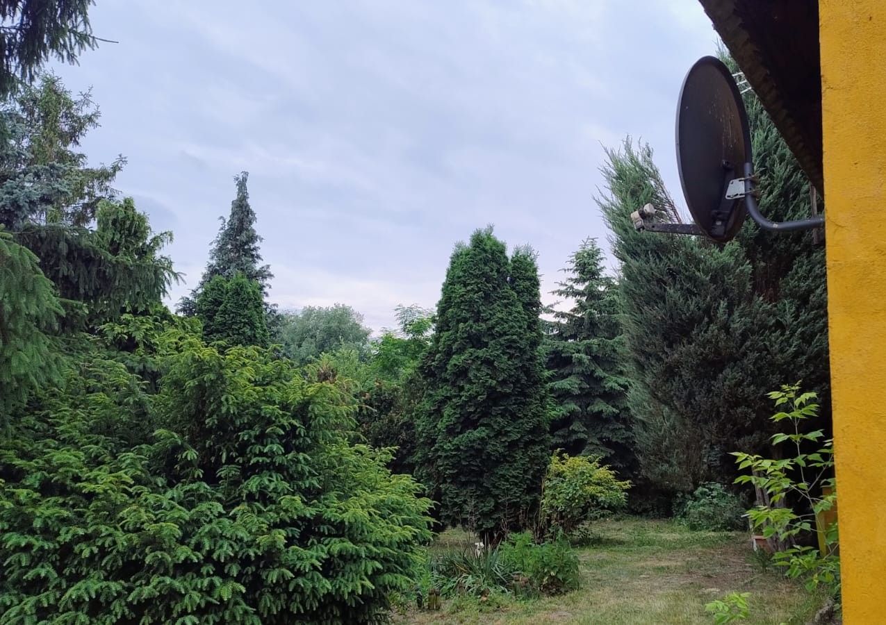 dom wolnostojący, 4 pokoje Górka Wąsoska. Zdjęcie 8