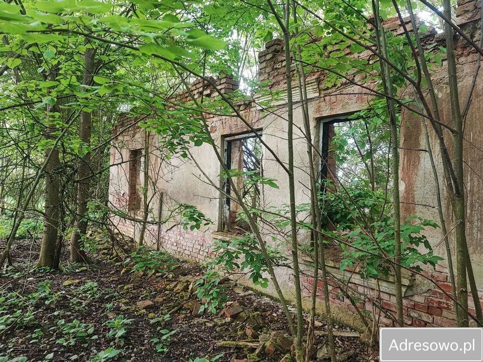 Działka siedliskowa Grzęda. Zdjęcie 6