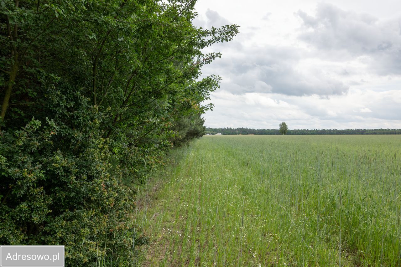 Działka Zofijówka. Zdjęcie 11