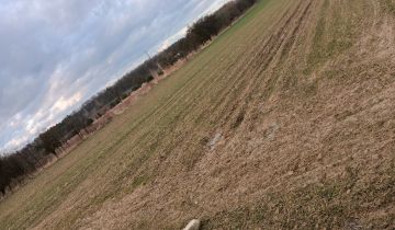 Działka budowlana Nowa Wola