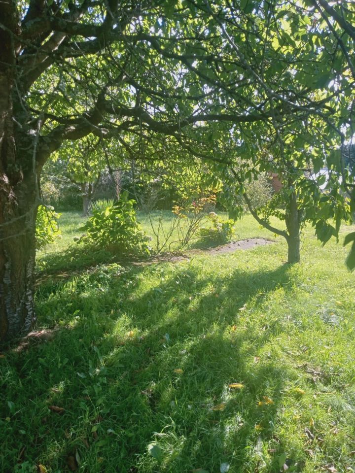 Działka rod Koszalin. Zdjęcie 4