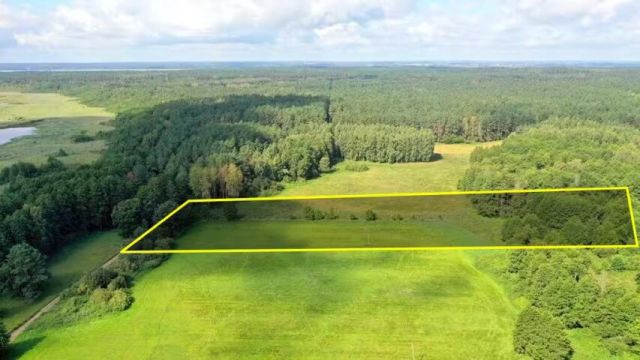 Działka rolna Dziubiele. Zdjęcie 4