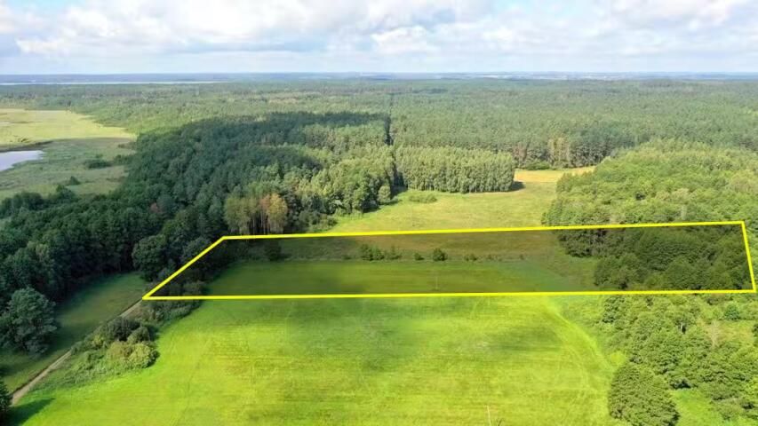 Działka rolna Dziubiele. Zdjęcie 4