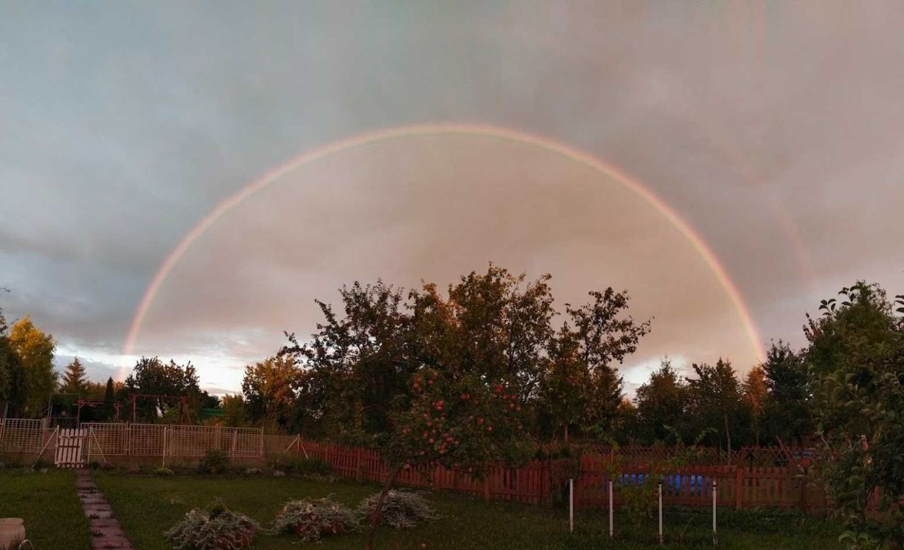 Działka rod Tczew. Zdjęcie 6