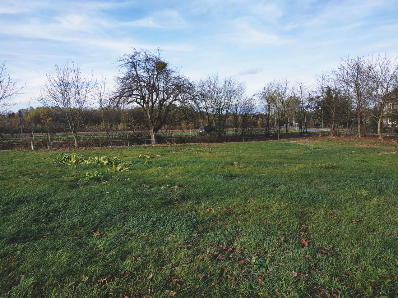 Działka inwestycyjna Kazimierz Dolny Dąbrówka, Dąbrówka. Zdjęcie 15