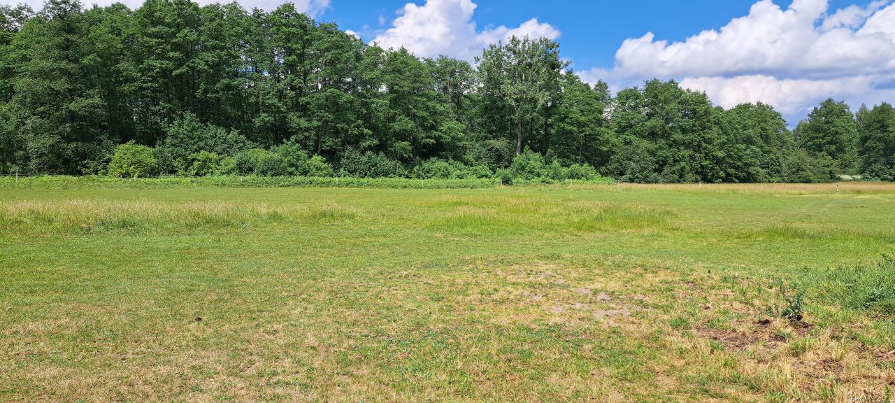 Działka inwestycyjna Budy Mszczonowskie, ul. Żwirowa. Zdjęcie 7