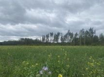 Działka rolna Opaleniec. Zdjęcie 1