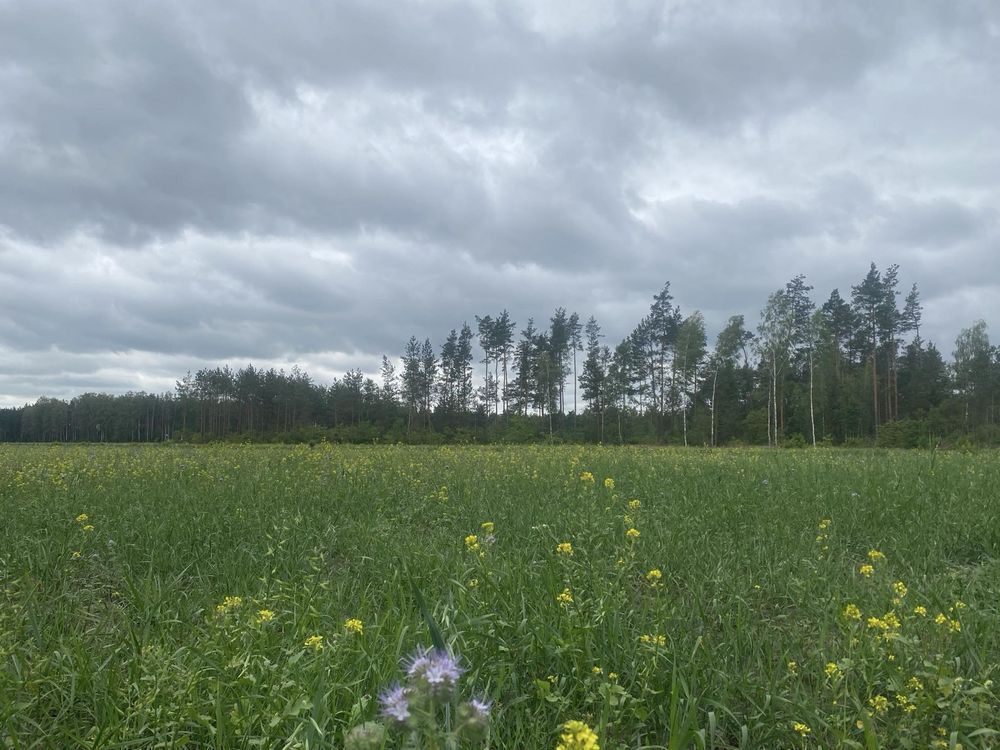 Działka rolna Opaleniec. Zdjęcie 2