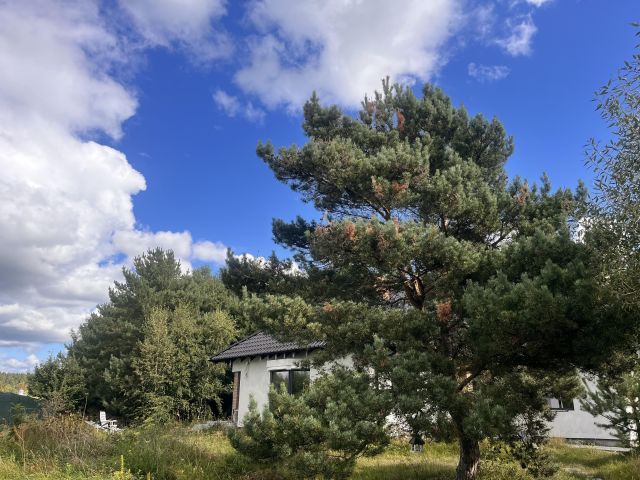 Boluminek, ul. Akacjowa Dom wolnostojący do wykończenia - 165 m² - 5 pokoi