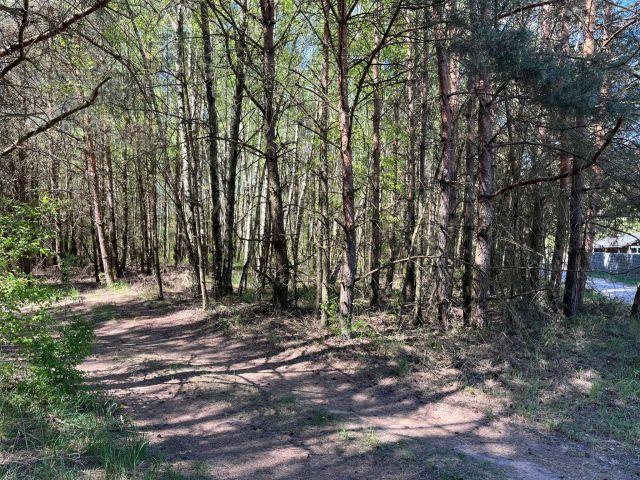 Działka budowlana Stęszewko, ul. Wiejska. Zdjęcie 18