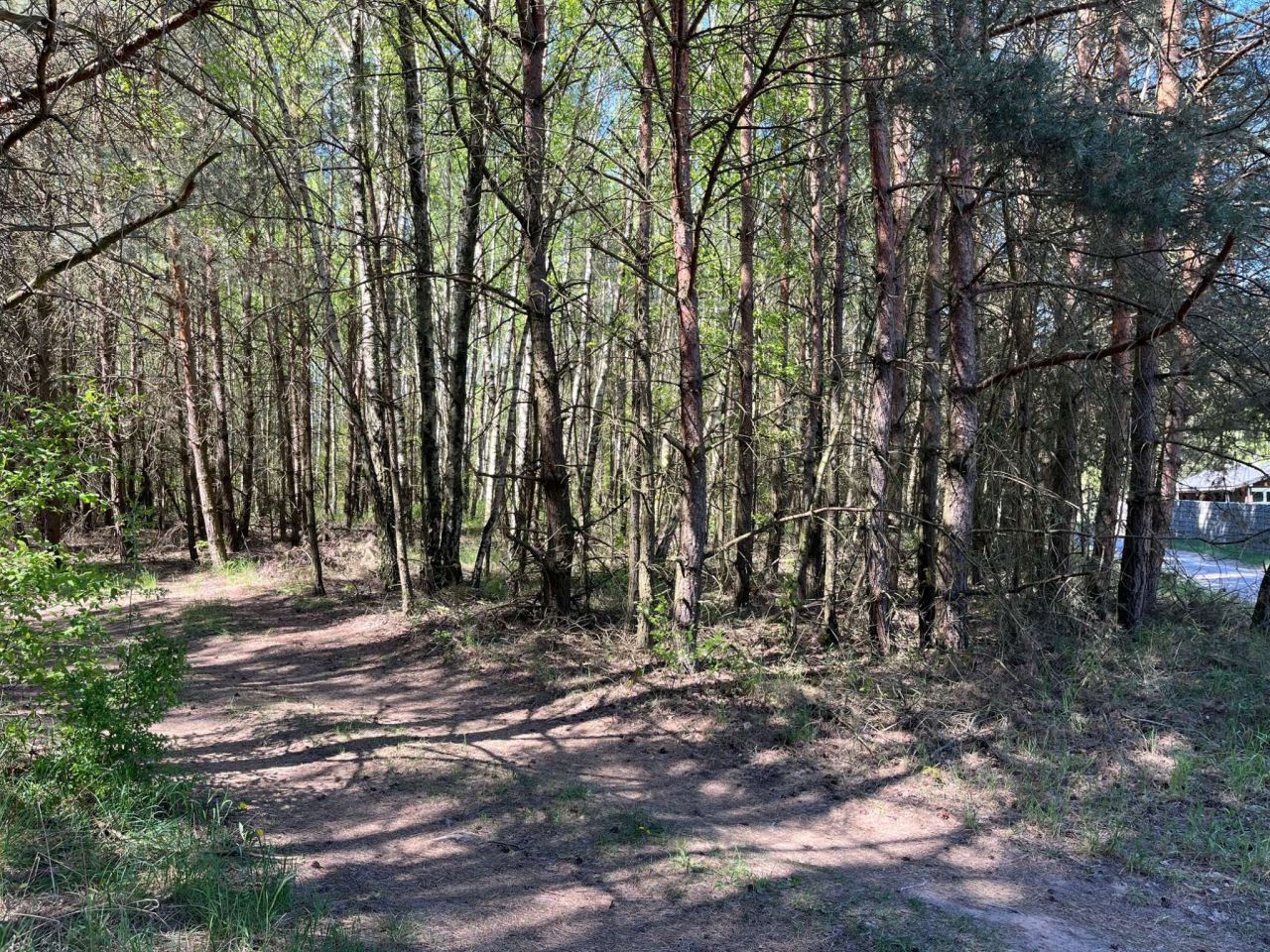 Działka budowlana Stęszewko, ul. Wiejska. Zdjęcie 18