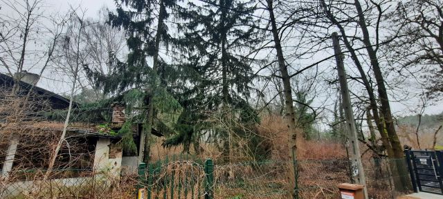 Działka budowlana Konstantynów Łódzki Żabiczki, Bukowa. Zdjęcie 1