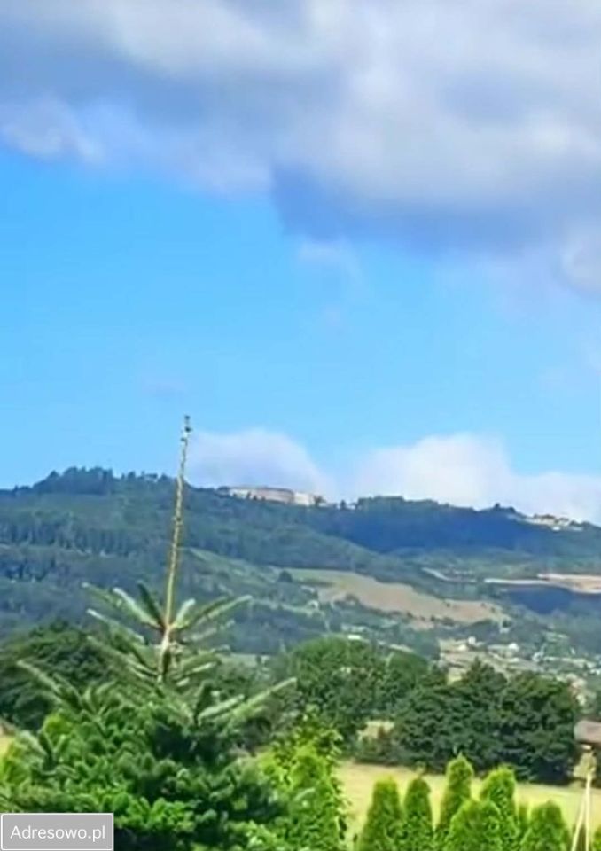 Działka budowlana Budzów Budzów-Kolonia. Zdjęcie 3