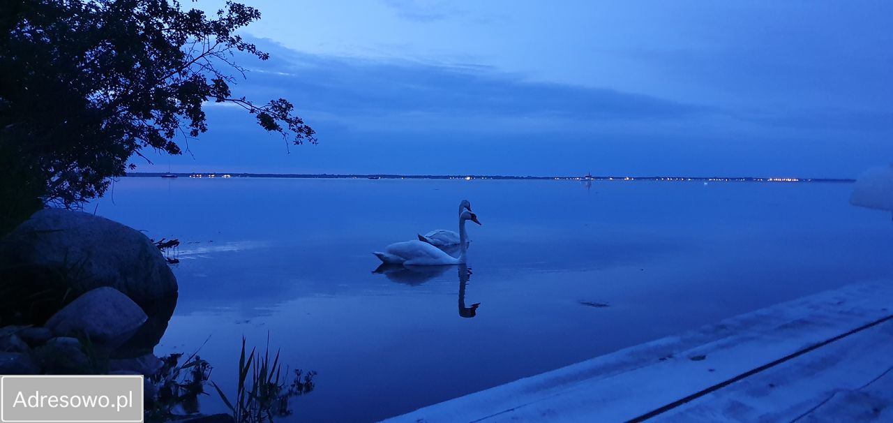 Działka inwestycyjna Swarzewo, ul. Szkolna. Zdjęcie 17