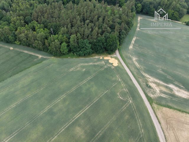 Działka rolna Lipia Góra Mała. Zdjęcie 12