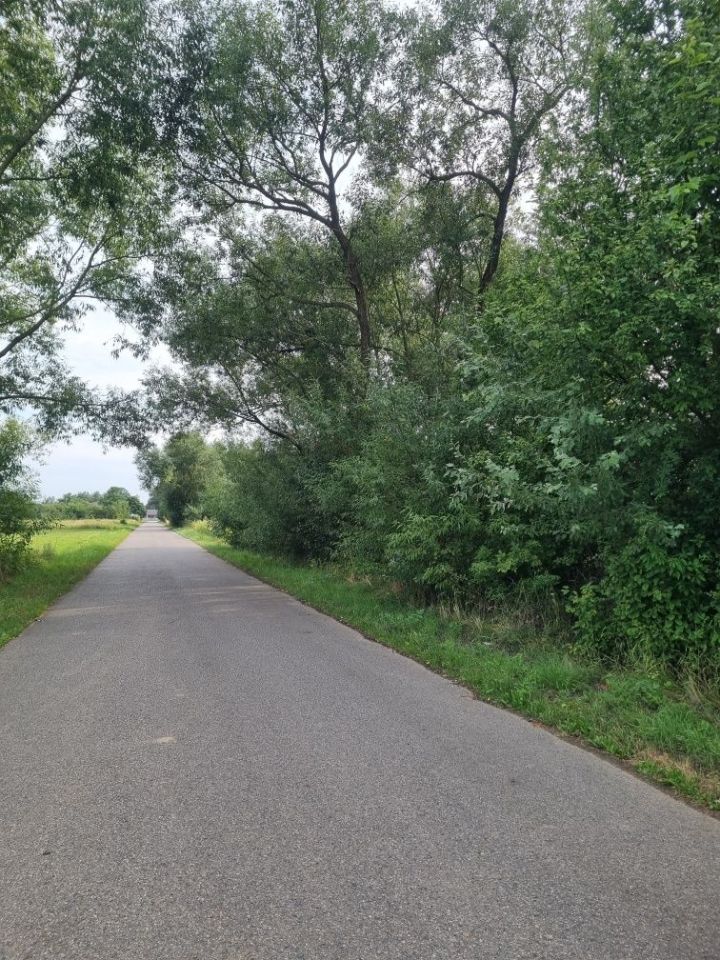 Działka budowlana Wilczkowice Dolne. Zdjęcie 2