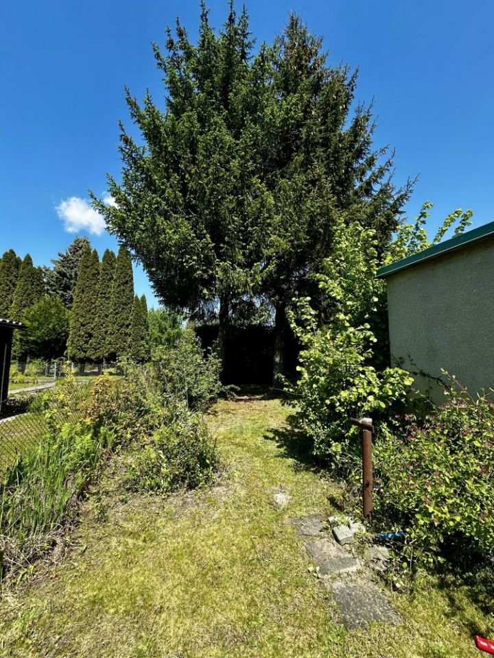 Działka rod Grędzice. Zdjęcie 4