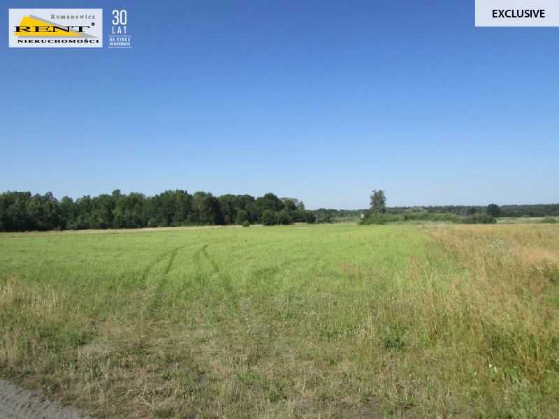 Działka inwestycyjna Kicko. Zdjęcie 4