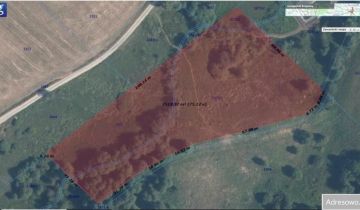 Działka rolna Tylicz, ul. Błatnik