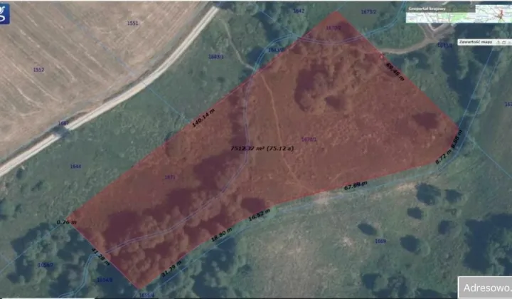 Działka rolna Tylicz, ul. Błatnik