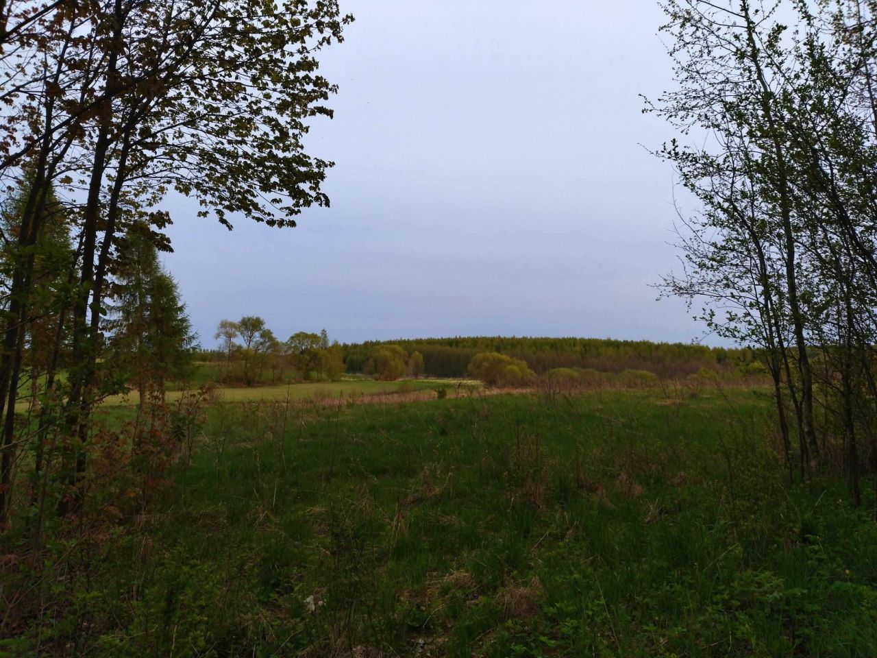 Działka budowlana Lesiska. Zdjęcie 8