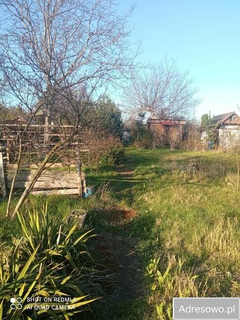 Działka rod Wrocław Fabryczna, ul. Klecińska. Zdjęcie 4