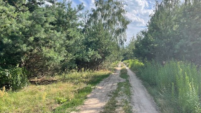 Działka budowlana Adamów-Wieś, ul. Dzikiej Gruszy. Zdjęcie 4