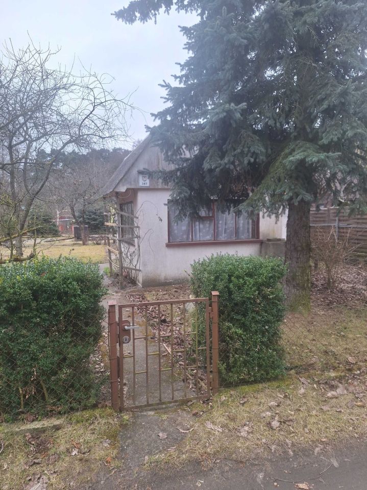 Działka rod Szubin. Zdjęcie 1