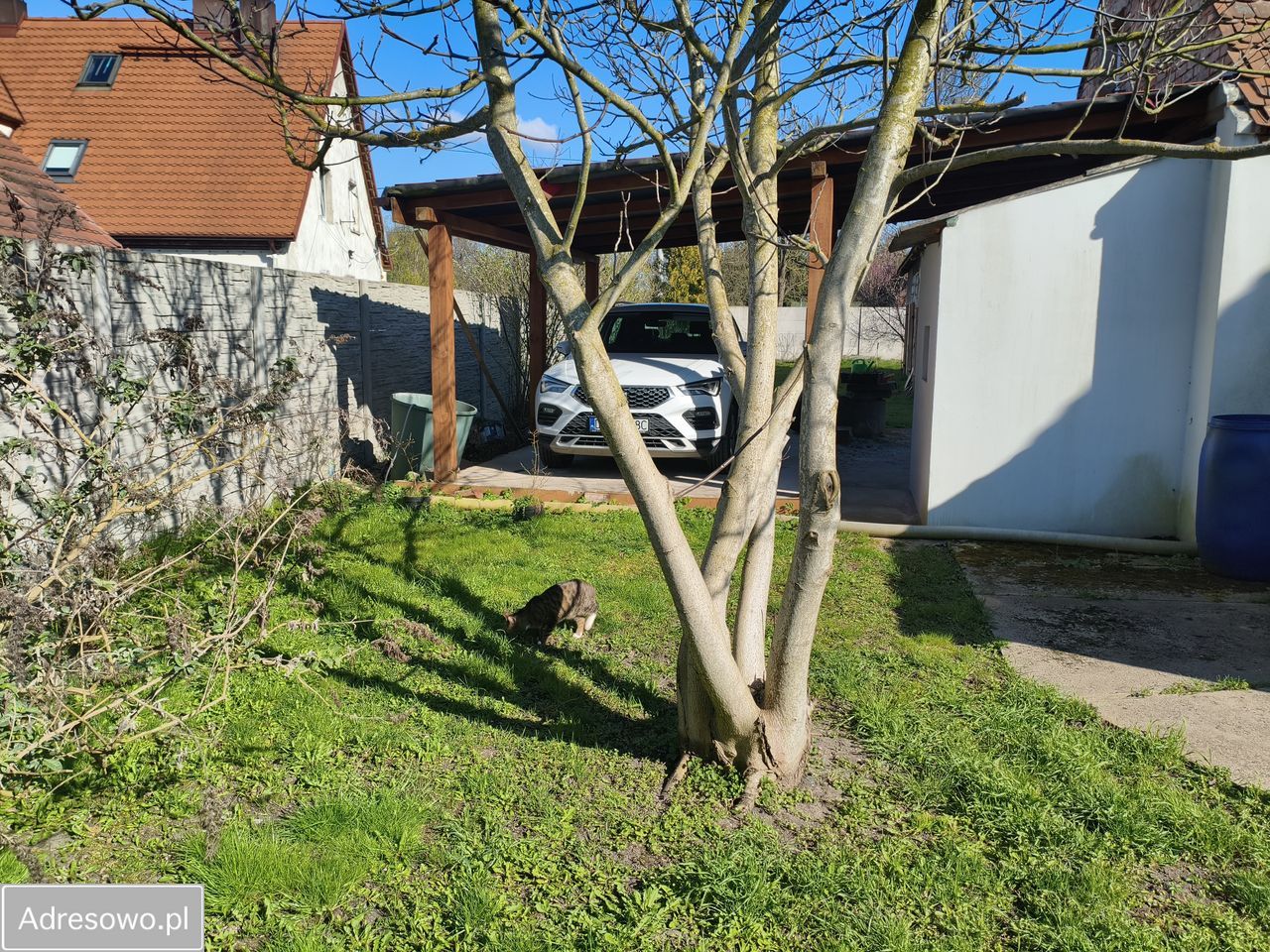 dom wolnostojący, 5 pokoi Dębno. Zdjęcie 7