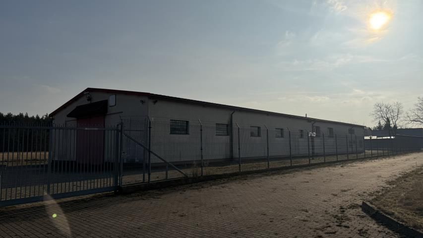 Lokal Brzeźnik. Zdjęcie 11