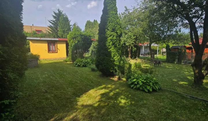 Działka rod Chorzów