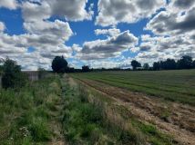 Działka siedliskowa Malechowo. Zdjęcie 3