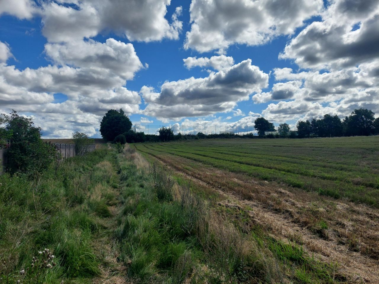Działka siedliskowa Malechowo. Zdjęcie 4