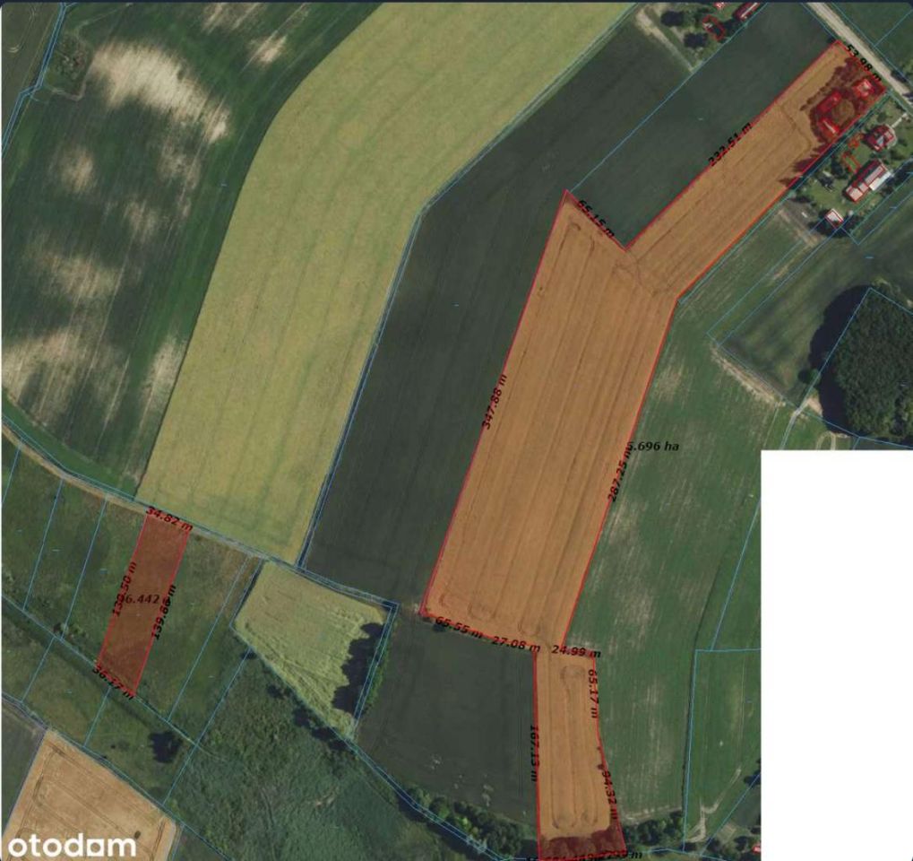 Działka siedliskowa Żabcze. Zdjęcie 11